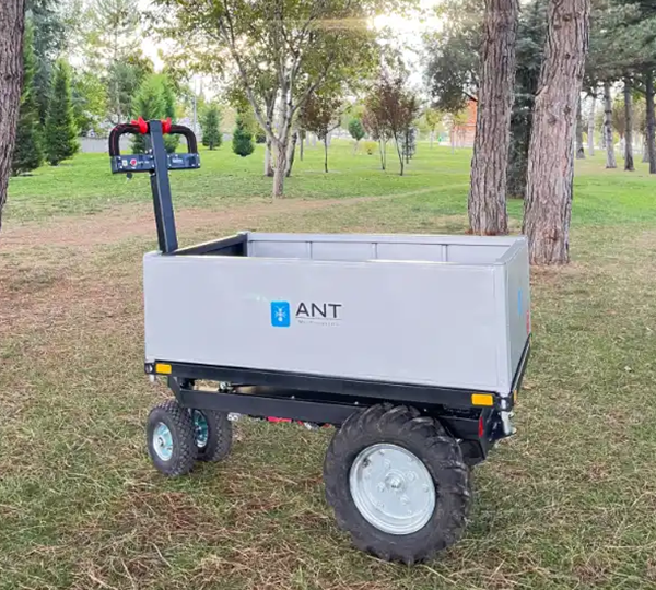 ant