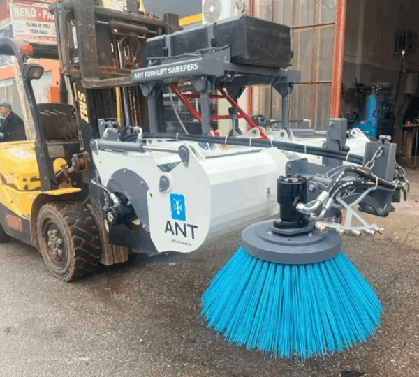 ant